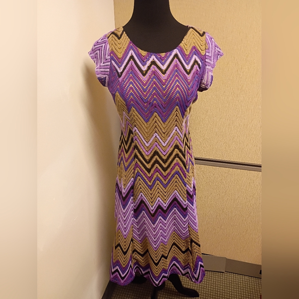 Pre-owned Sheragono Women's Lined Dress Size 6